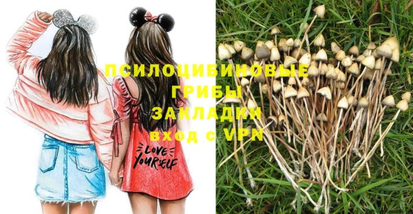 apvp Балабаново